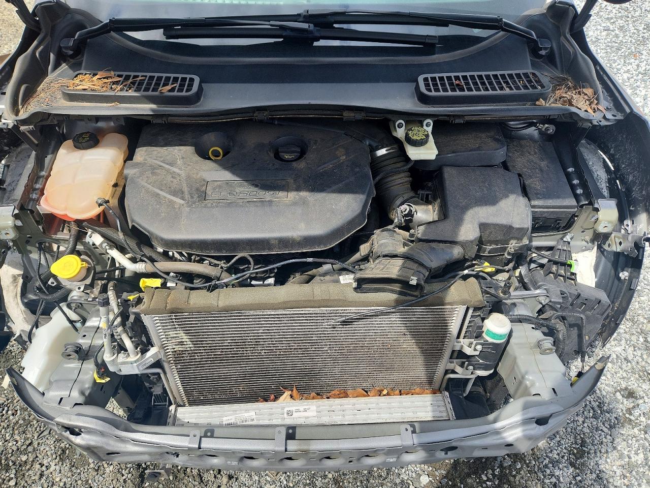 Ford Escape Titanium