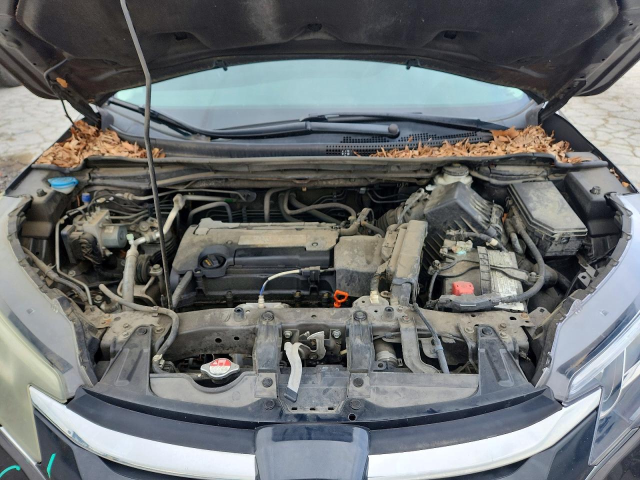 Honda Crv Ex