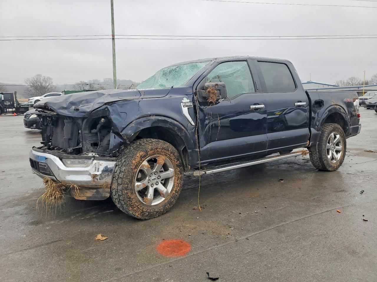 Salvage Ford F-150 Image