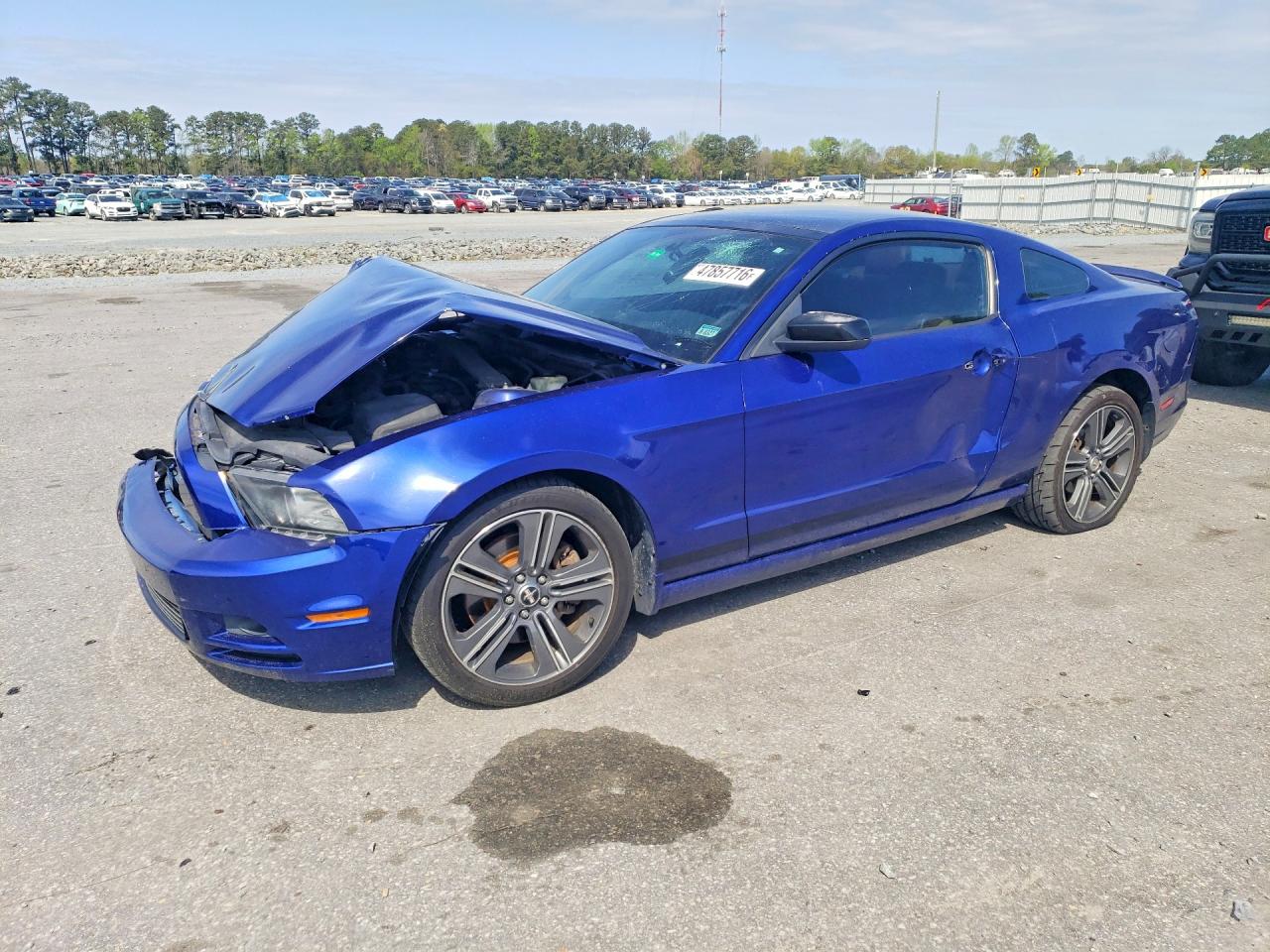 Salvage Ford Mustang Image