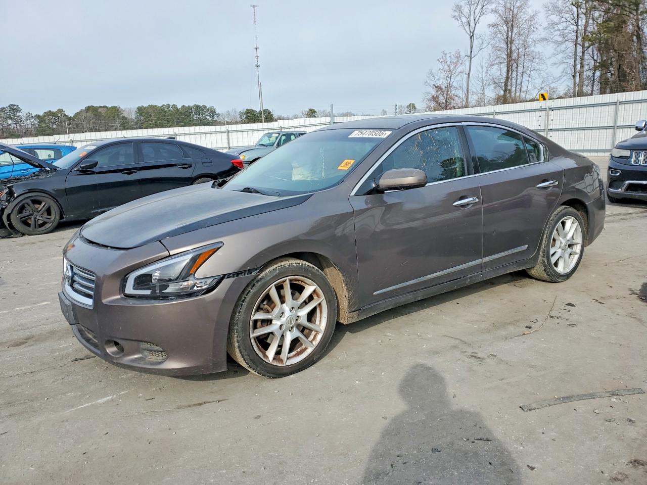 Salvage Nissan Maxima Image