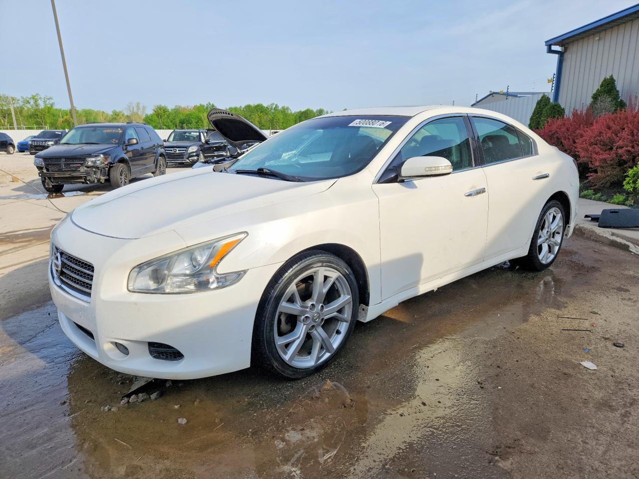 Salvage Nissan Maxima Image