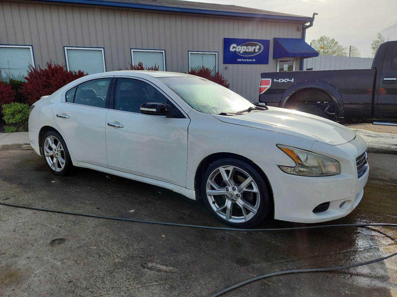 Nissan Maxima 3.5 S