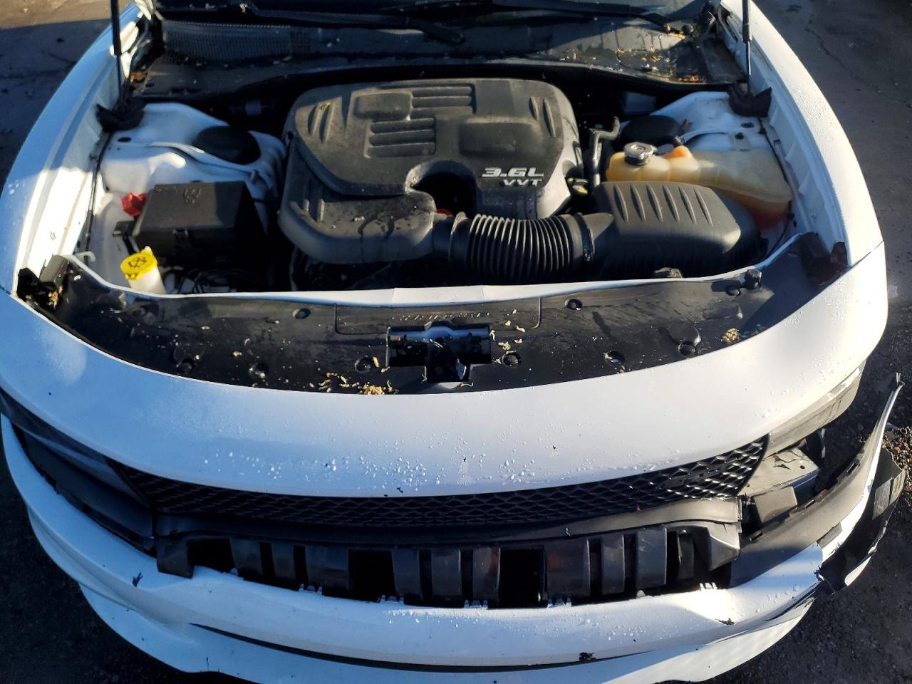 Dodge Charger Sxt