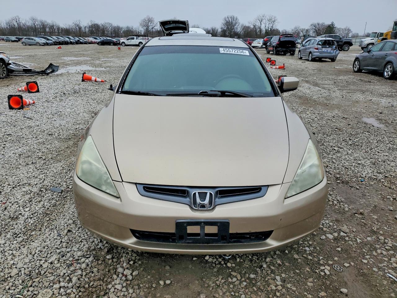 Honda Accord Ex