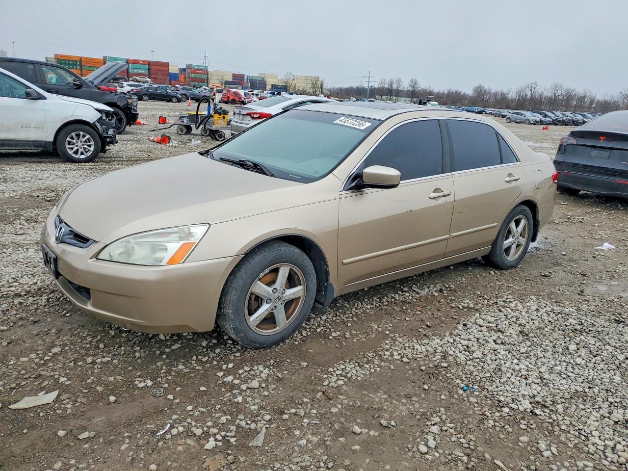 Salvage Honda Accord Image