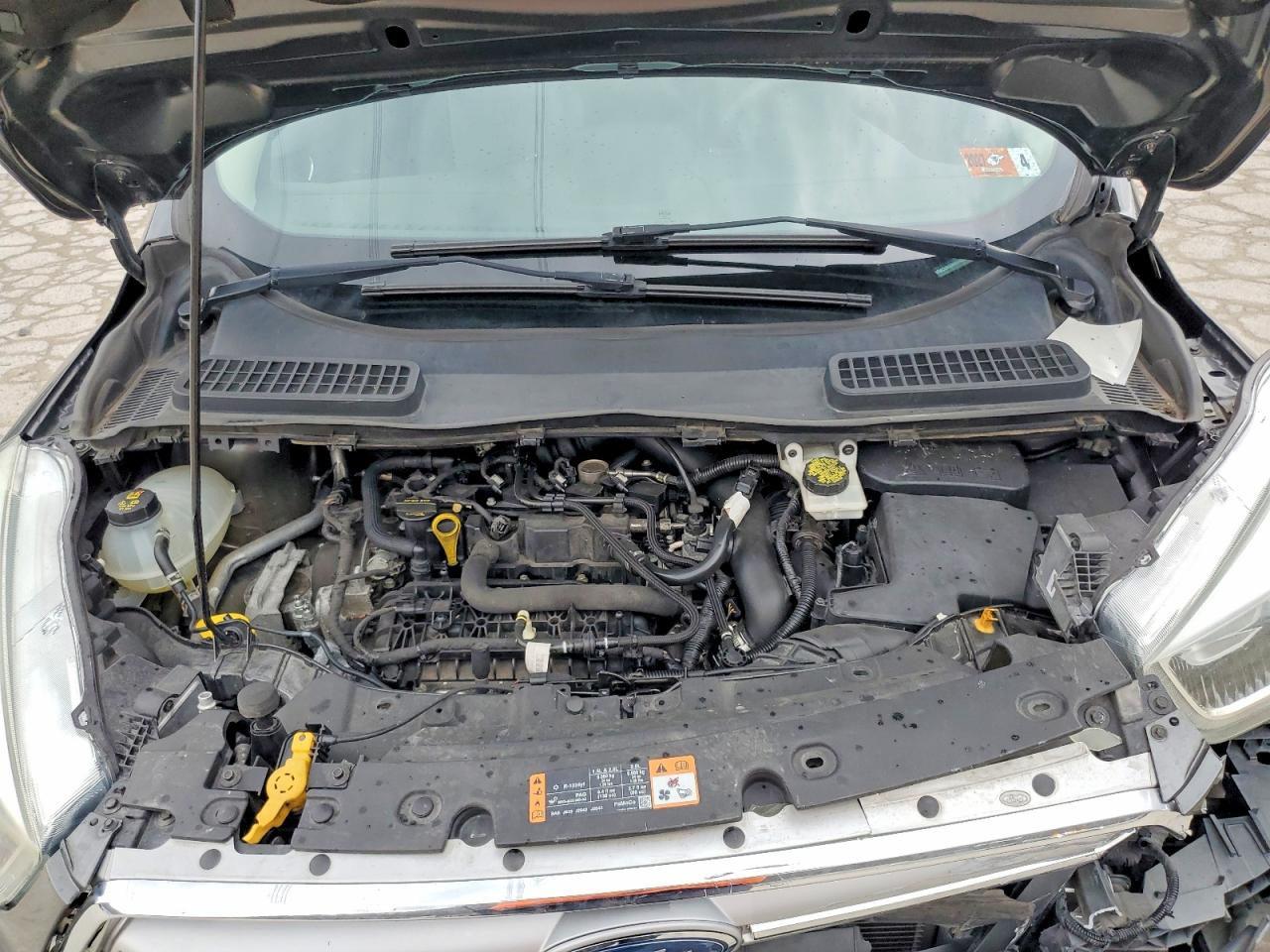 Ford Escape Se