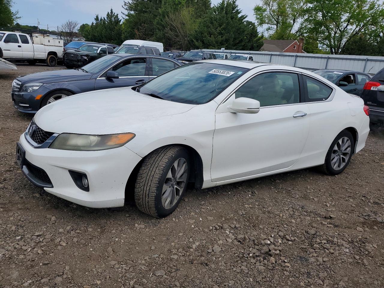 Salvage Honda Accord Image