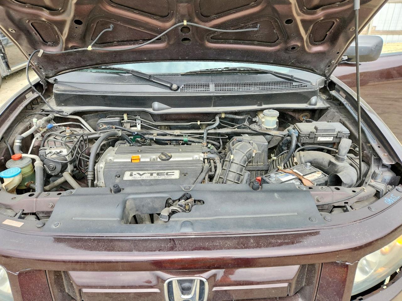 Honda Element Sc