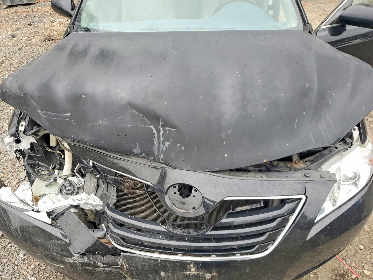 Toyota Camry Xle V6
