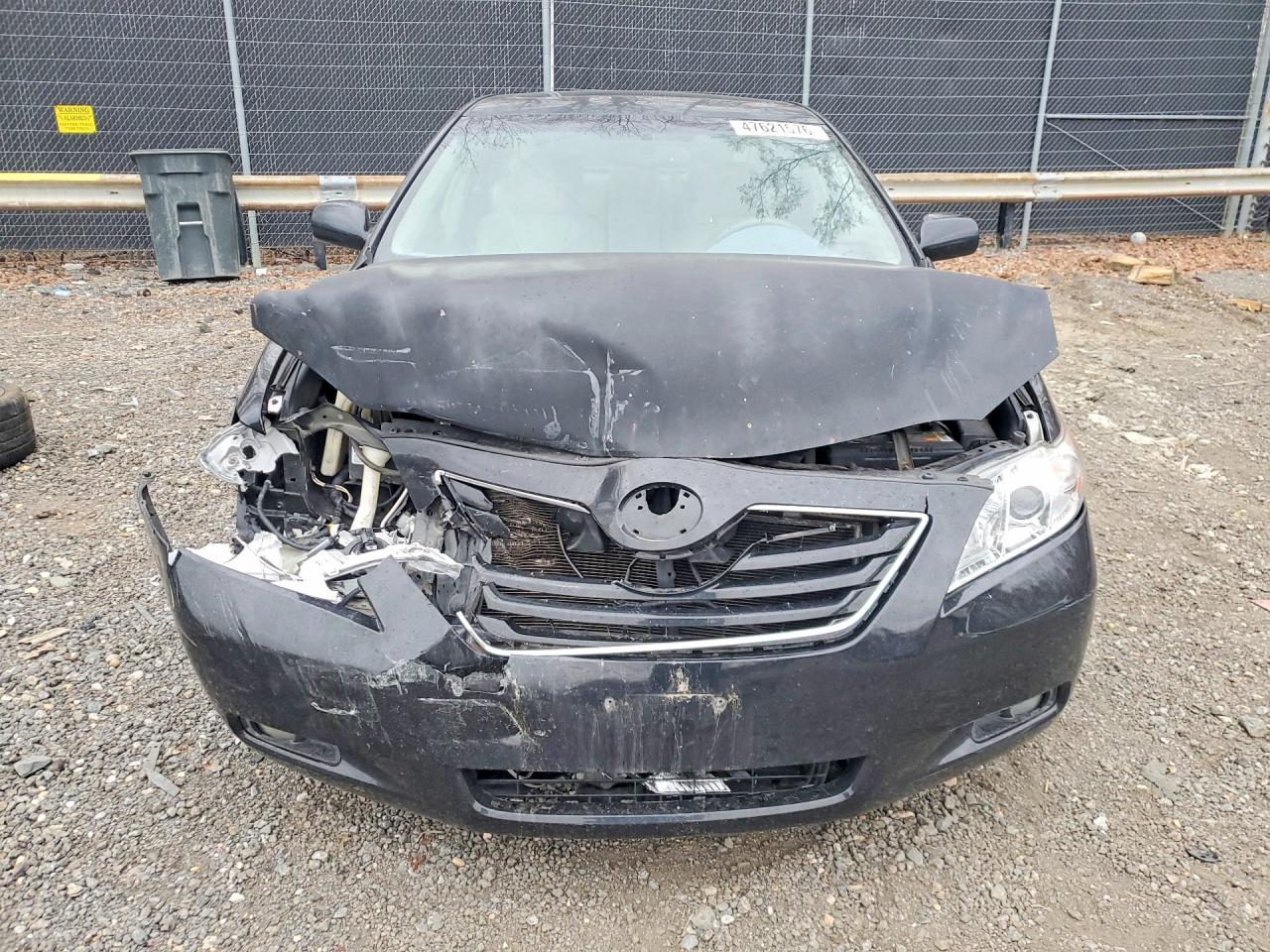 Toyota Camry Xle V6
