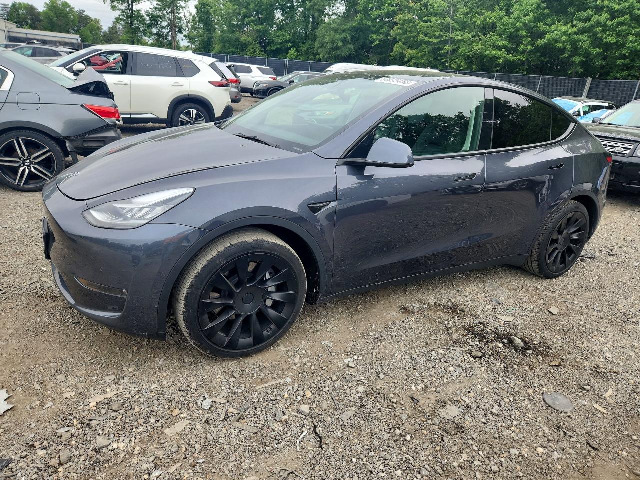 Salvage Tesla Model Y Image