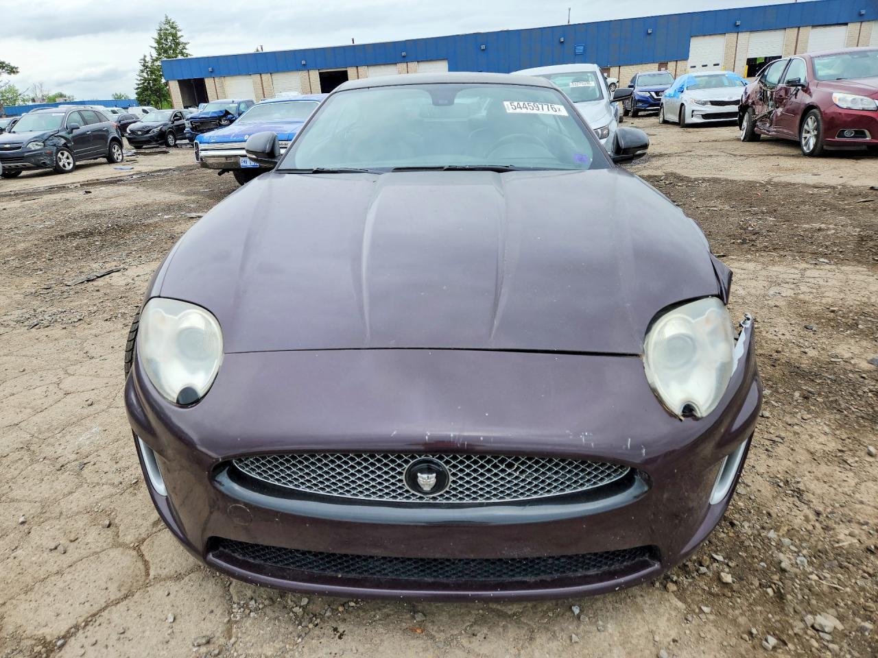 Jaguar XK