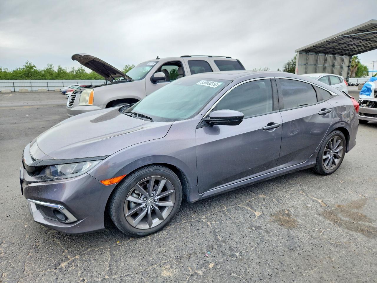 Salvage Honda Civic Image