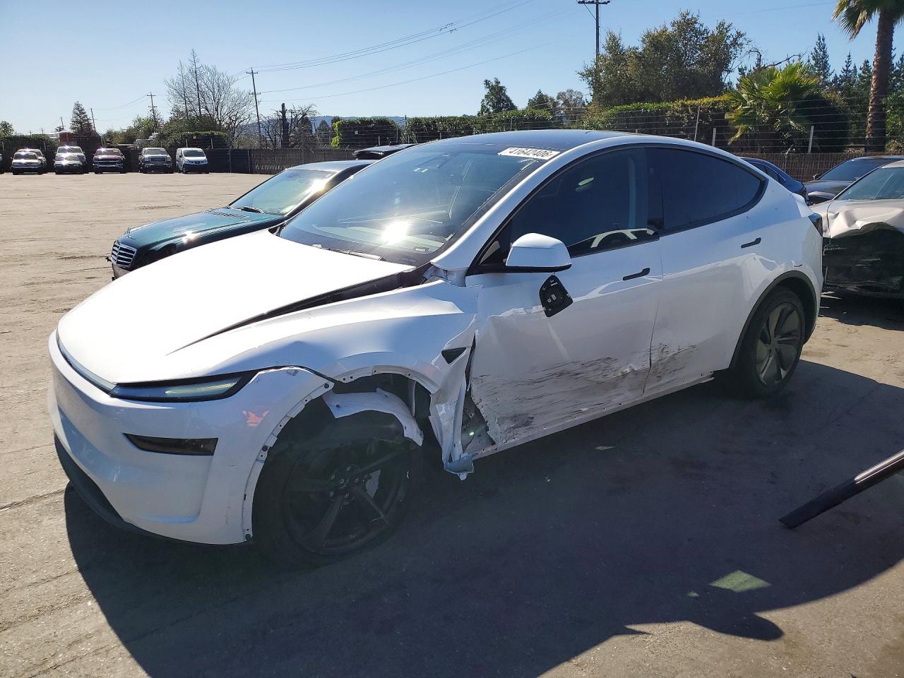 Salvage Tesla Model Y Image