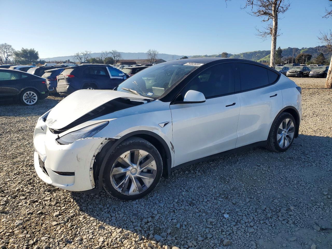 Salvage Tesla Model Y Image