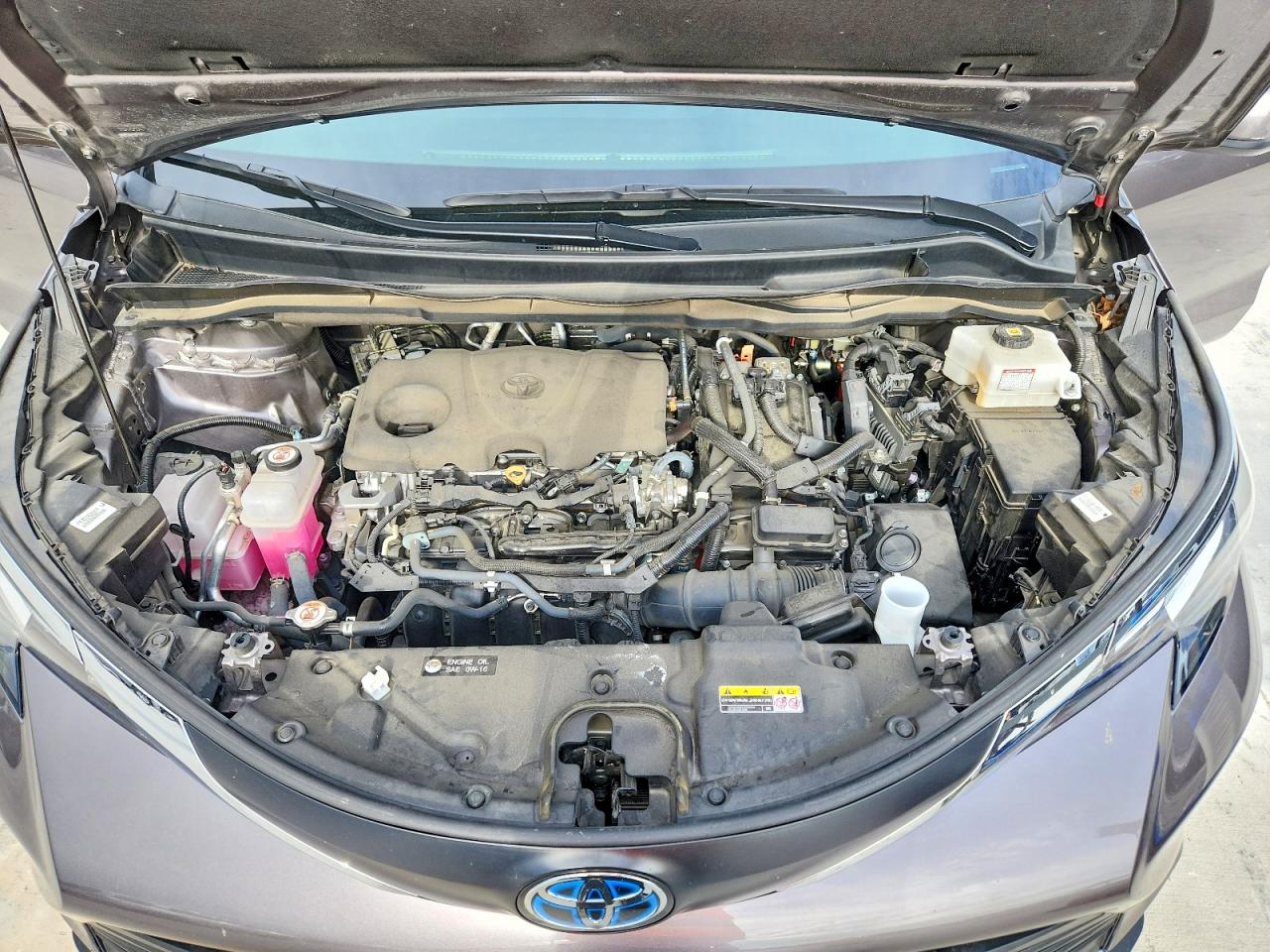 Toyota Sienna Xle