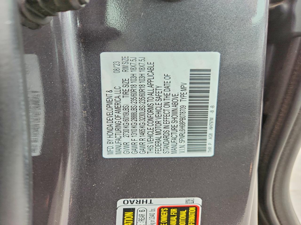 Honda Odyssey Exl
