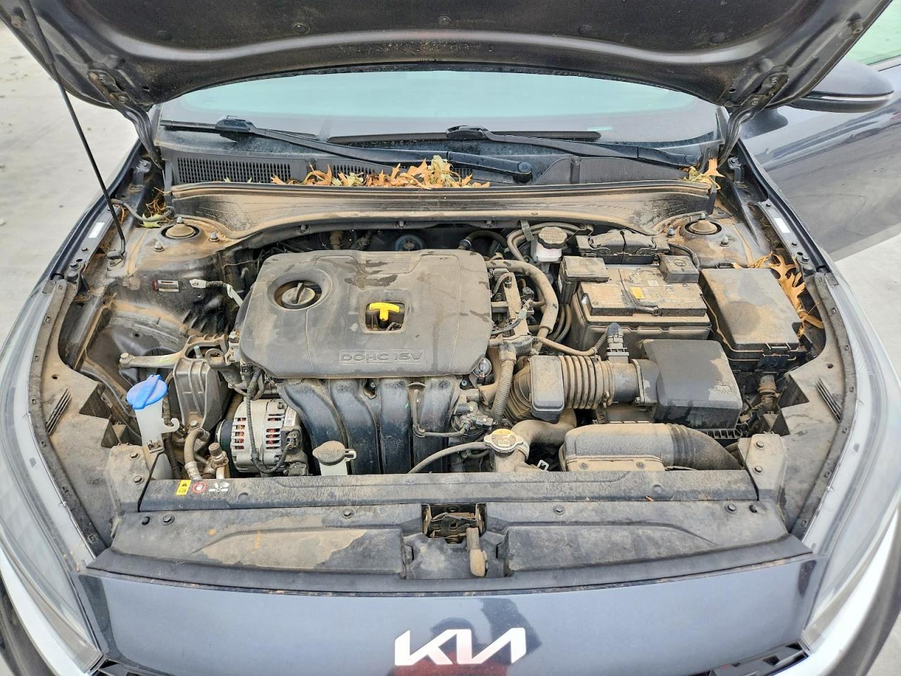 Kia Forte Gt Line