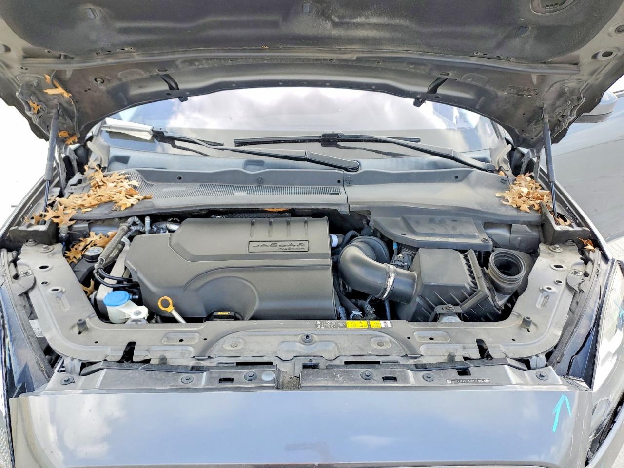 Jaguar Etype
