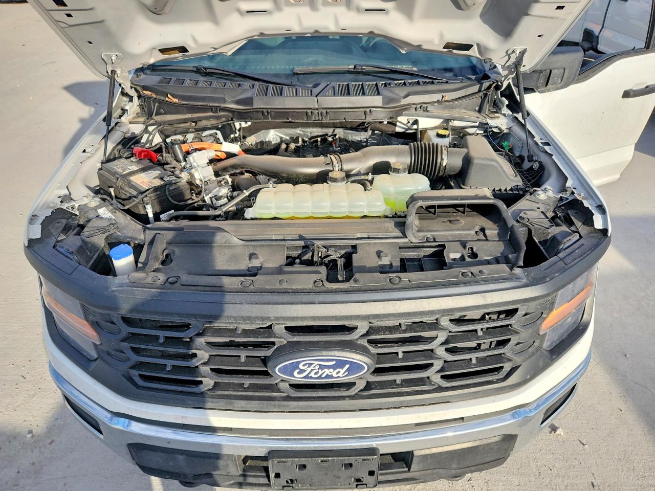 Ford F-150 Xl