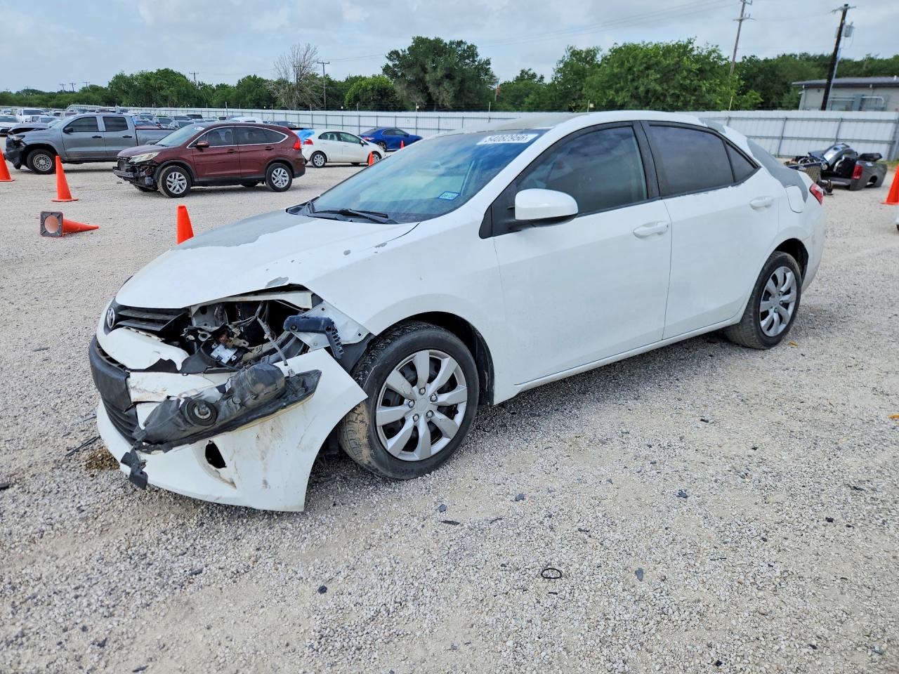 Salvage Toyota Corolla Image