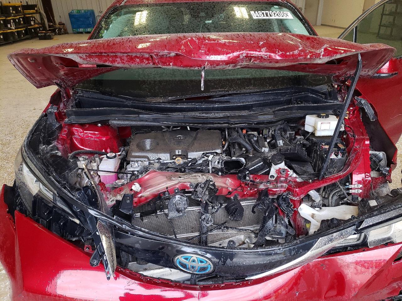 Toyota Sienna Xle 8-passenger