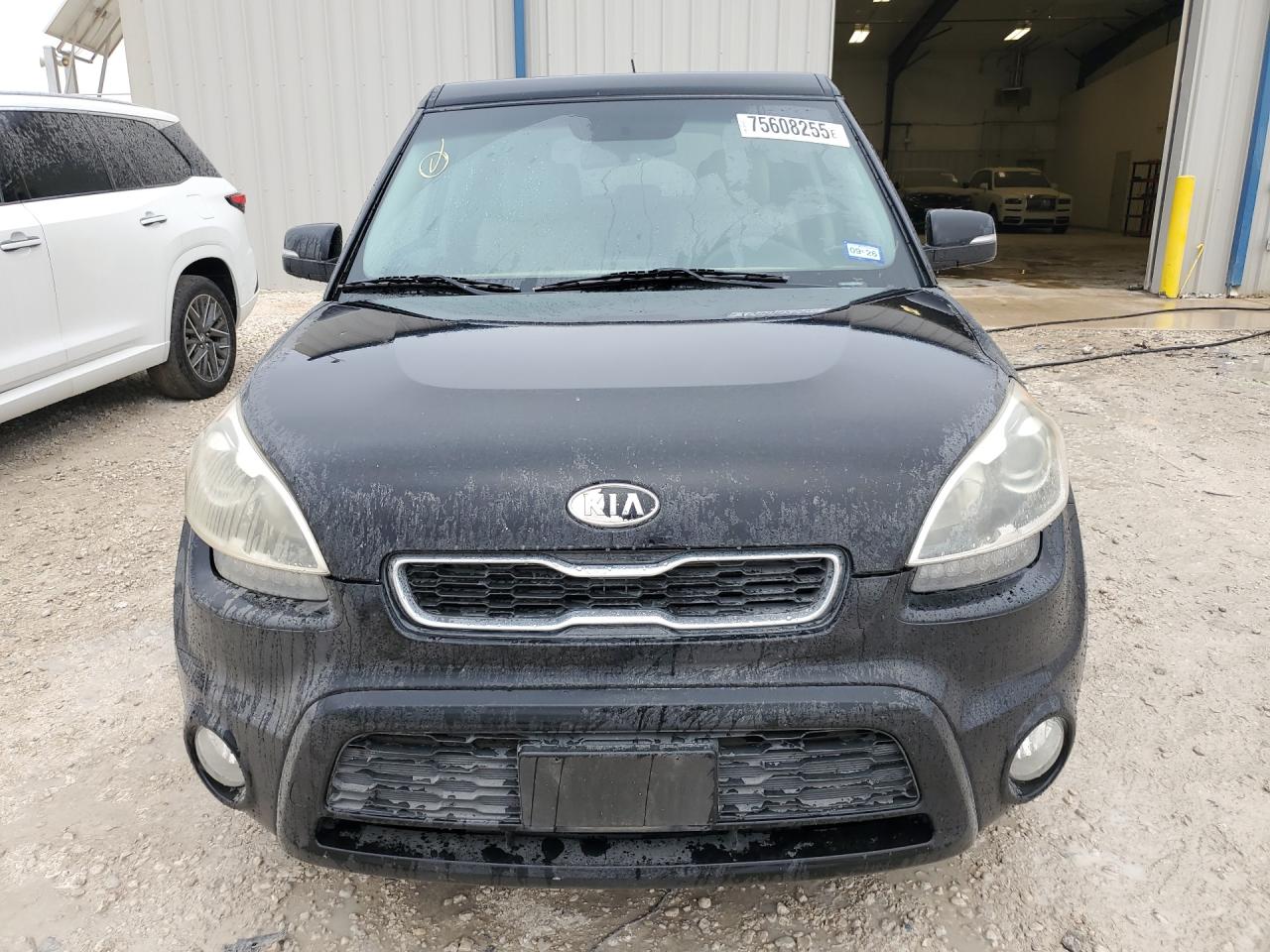 Kia Soul +