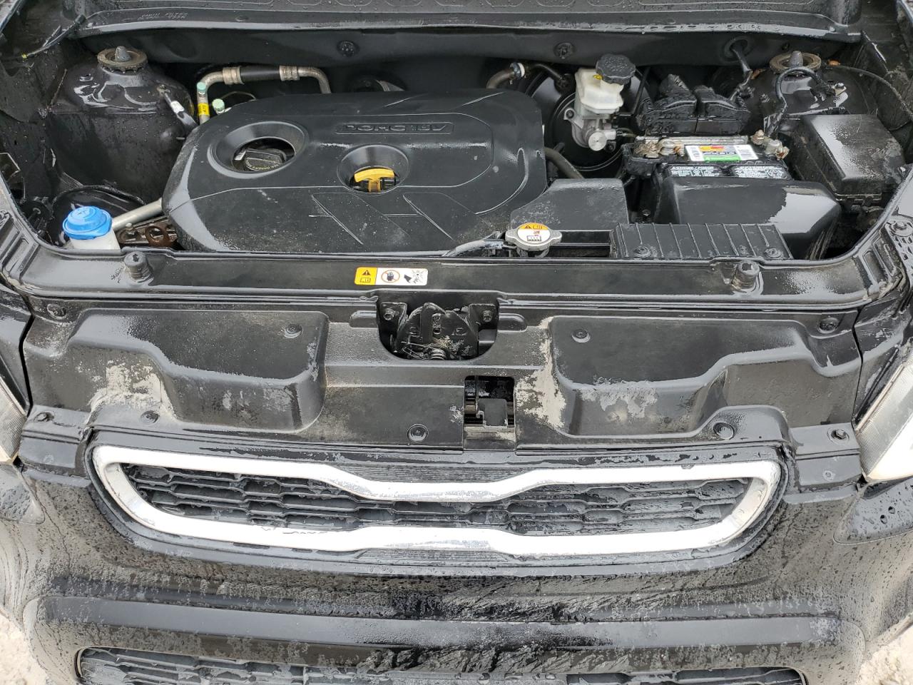 Kia Soul +