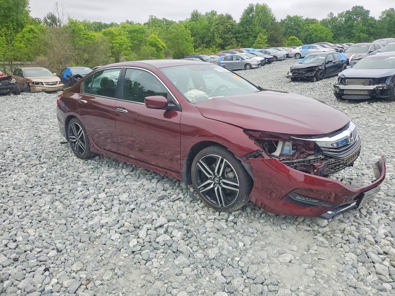 Honda Accord Sport