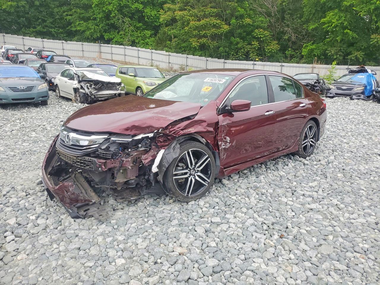 Salvage Honda Accord Image