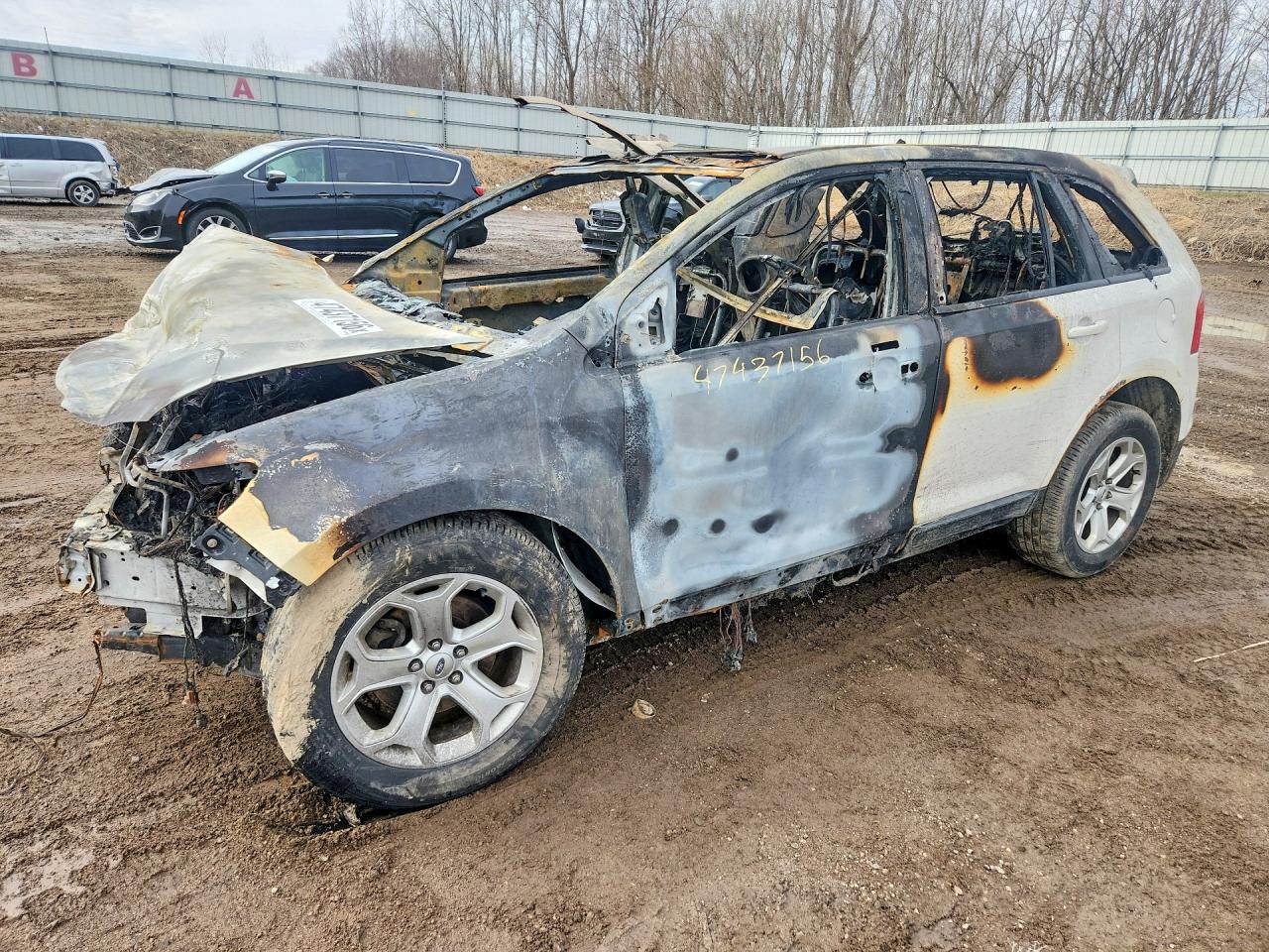 Salvage Ford Edge Image