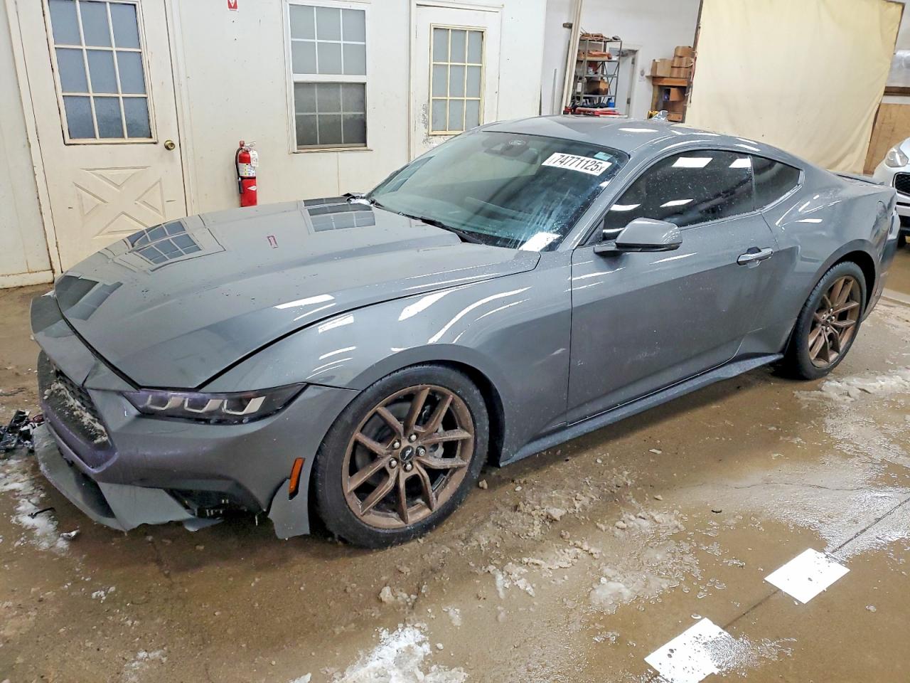 Salvage Ford Mustang Image