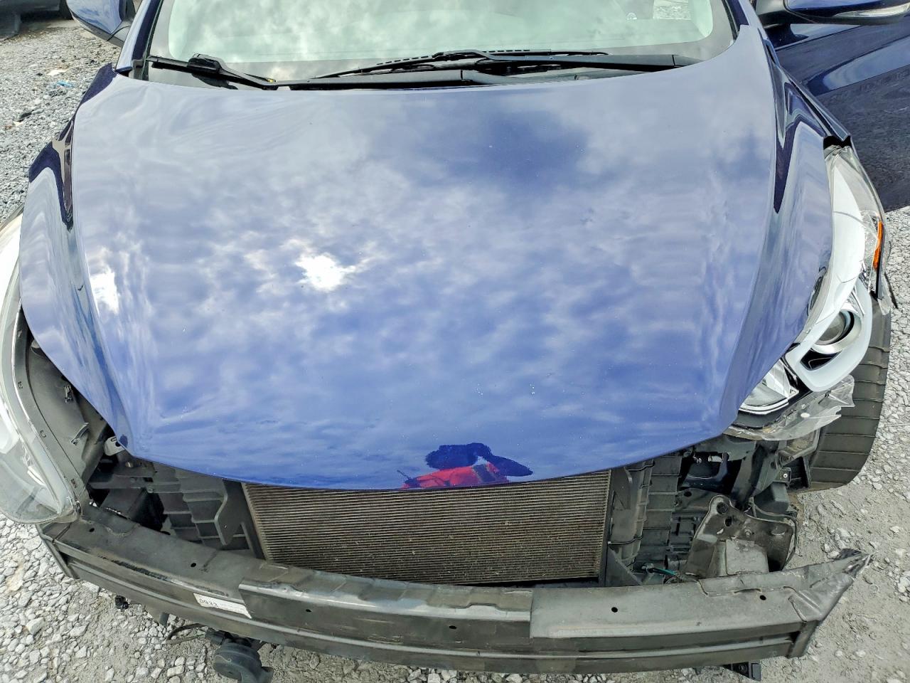 Hyundai ELANTRA Limited