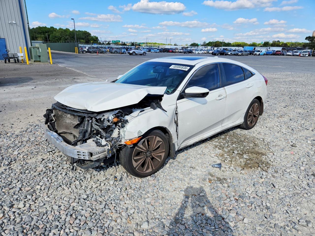 Salvage Honda Civic Image