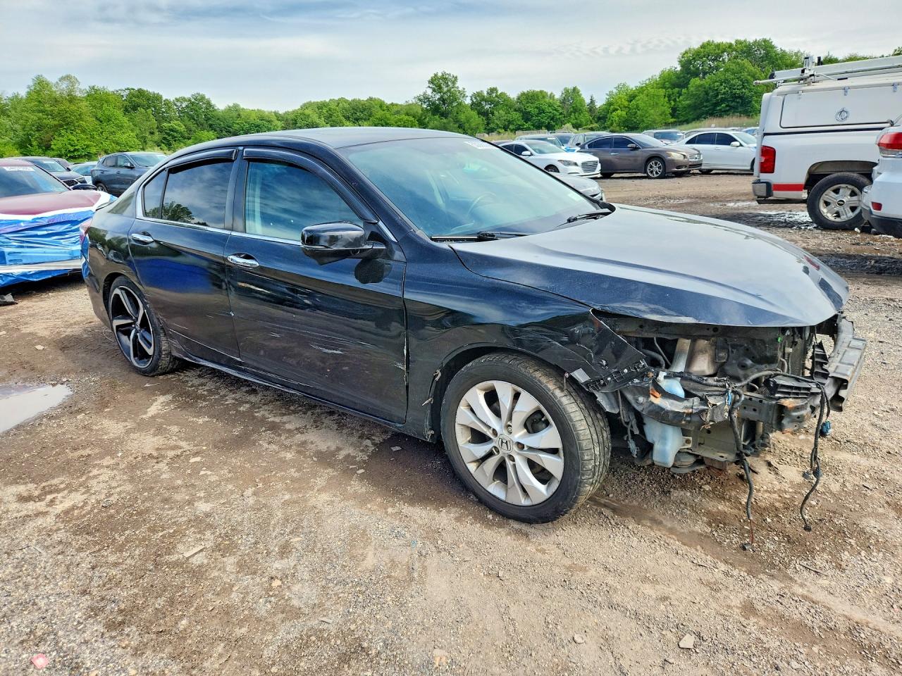 Honda Accord Exl