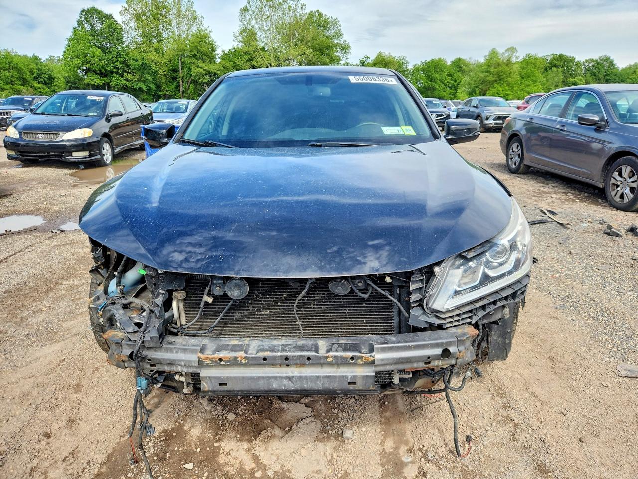 Honda Accord Exl