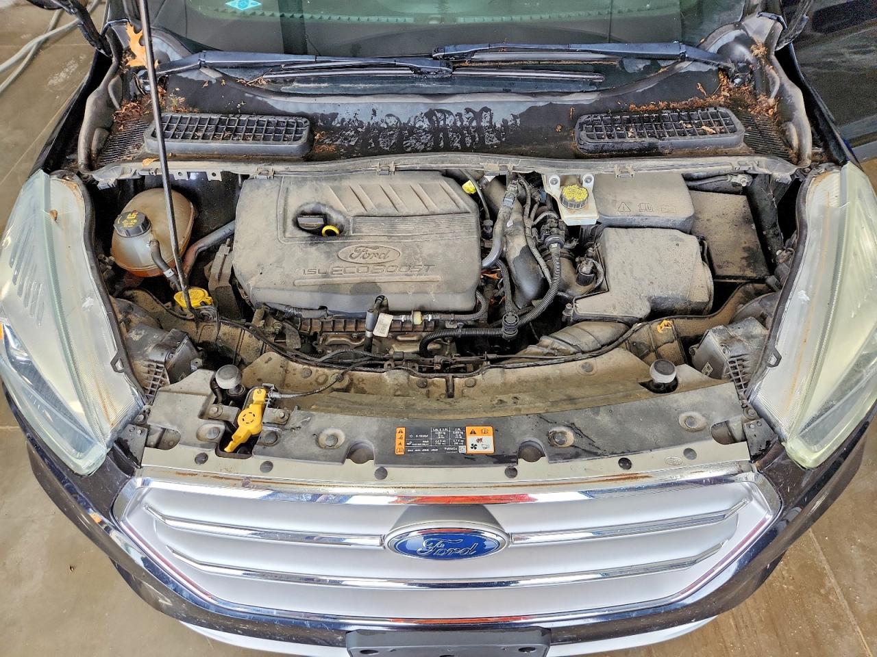 Ford Escape Se