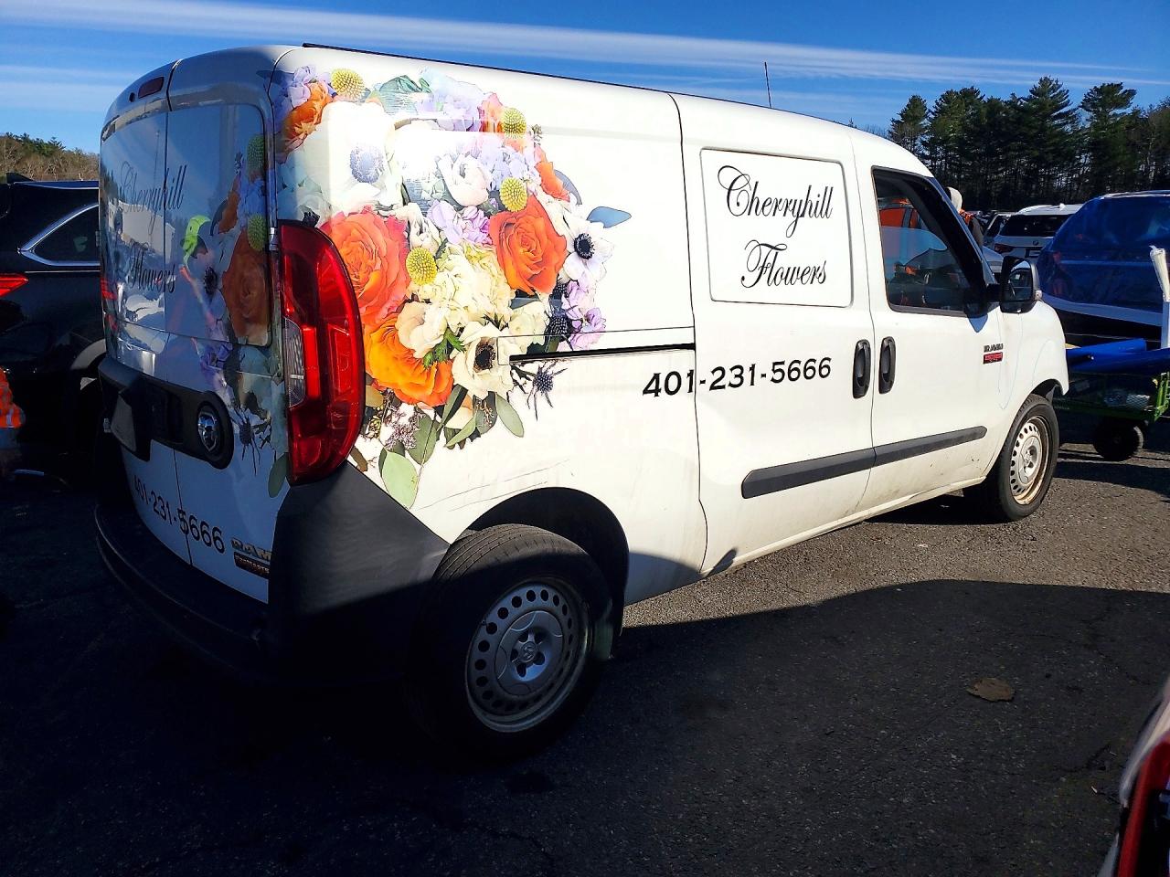 Ram Promaster St