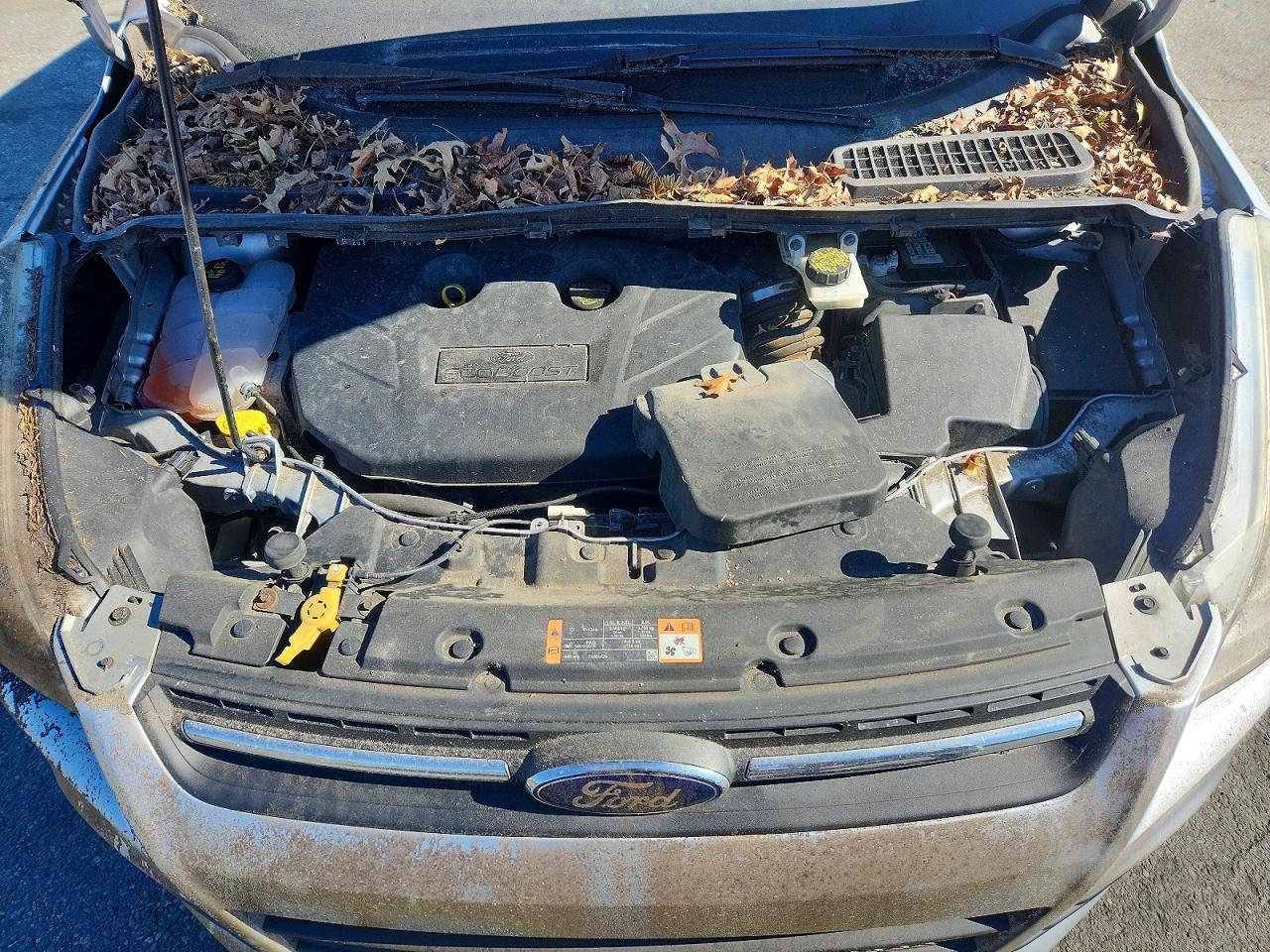 Ford Escape Se