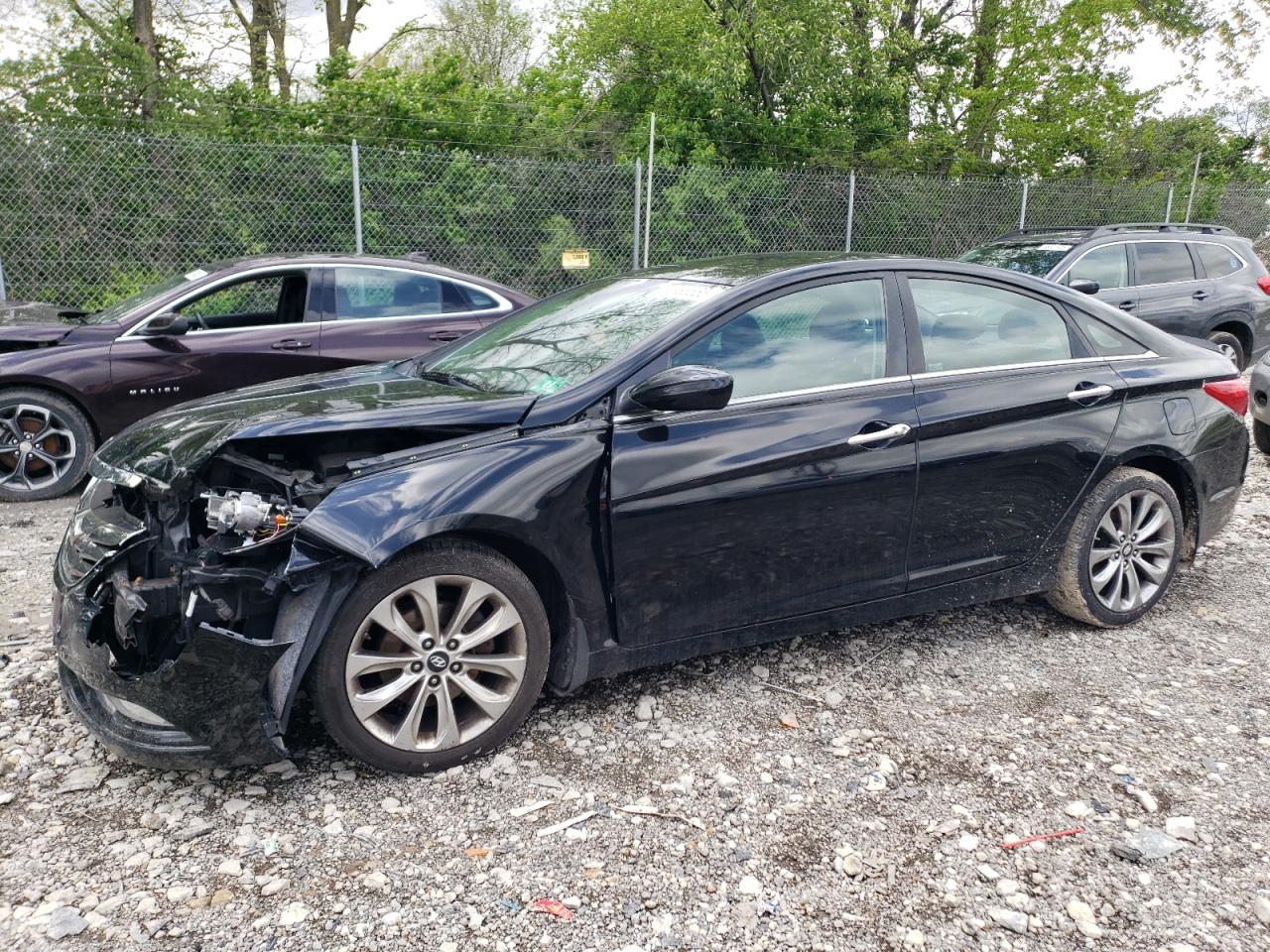 Salvage Hyundai SONATA Image