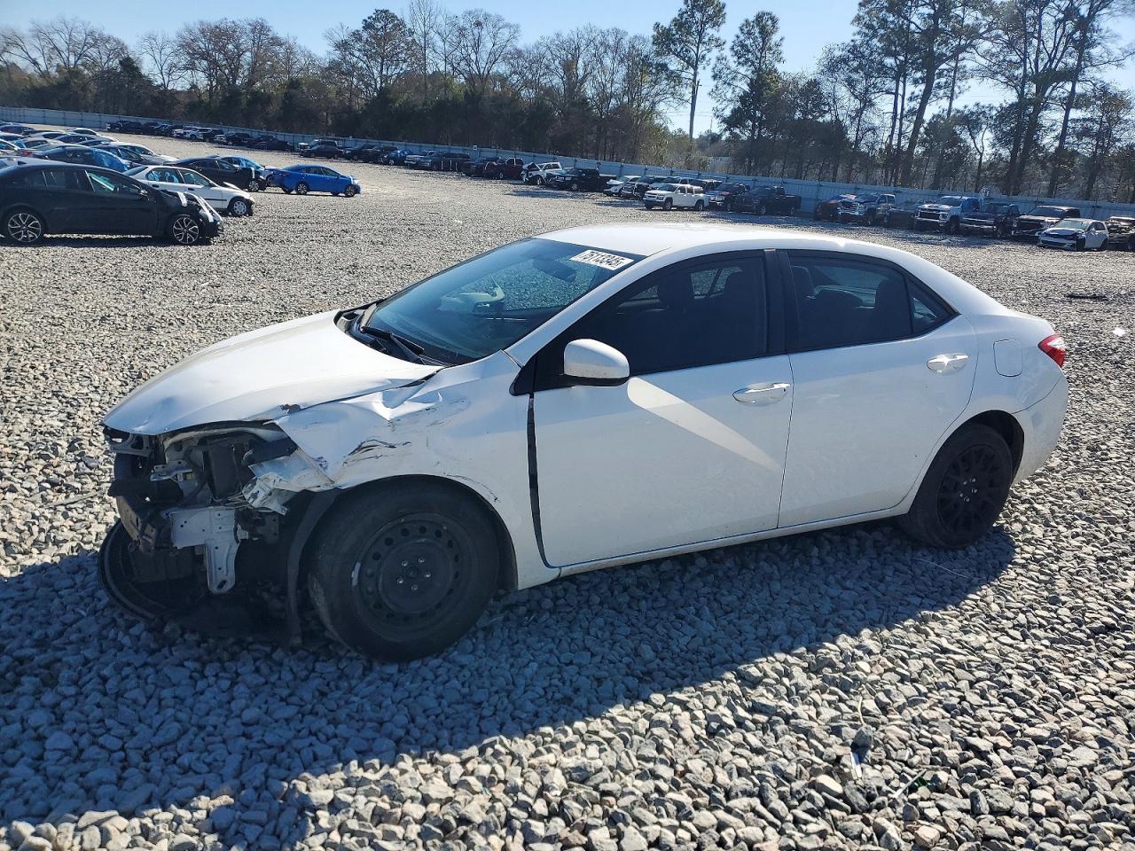 Salvage Toyota Corolla Image