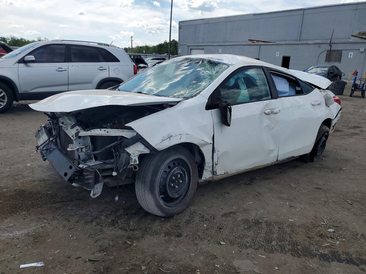 Salvage Toyota Corolla Image