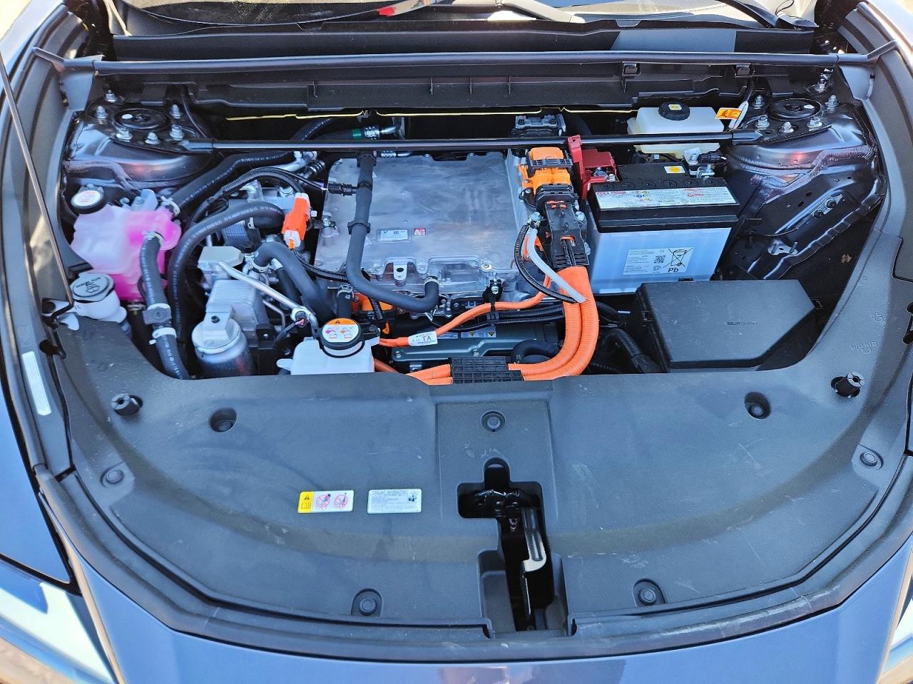 Lexus Other Premium