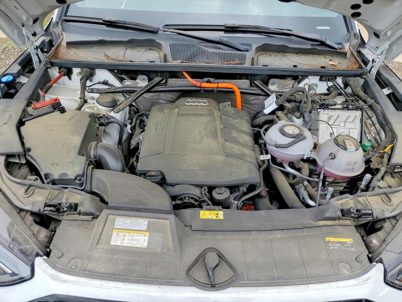 Audi Q5 Premium Plus 55