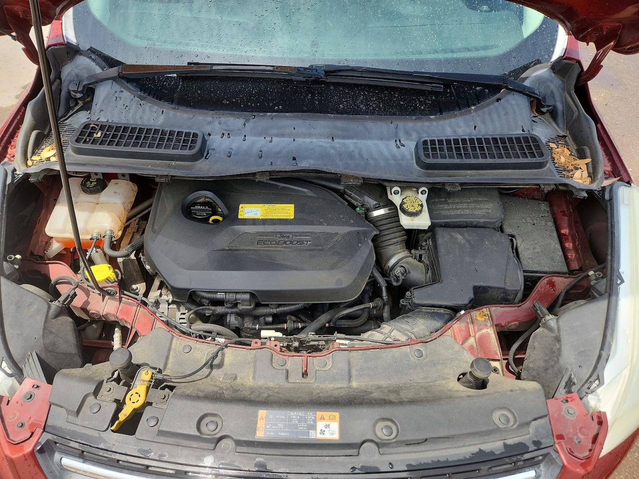 Ford Escape Se