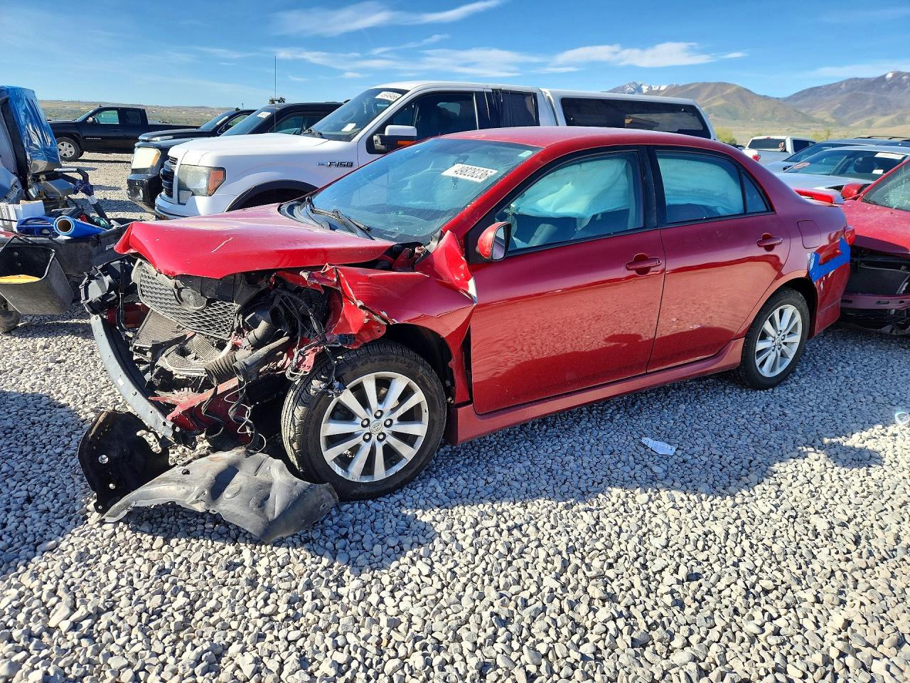 Salvage Toyota Corolla Image