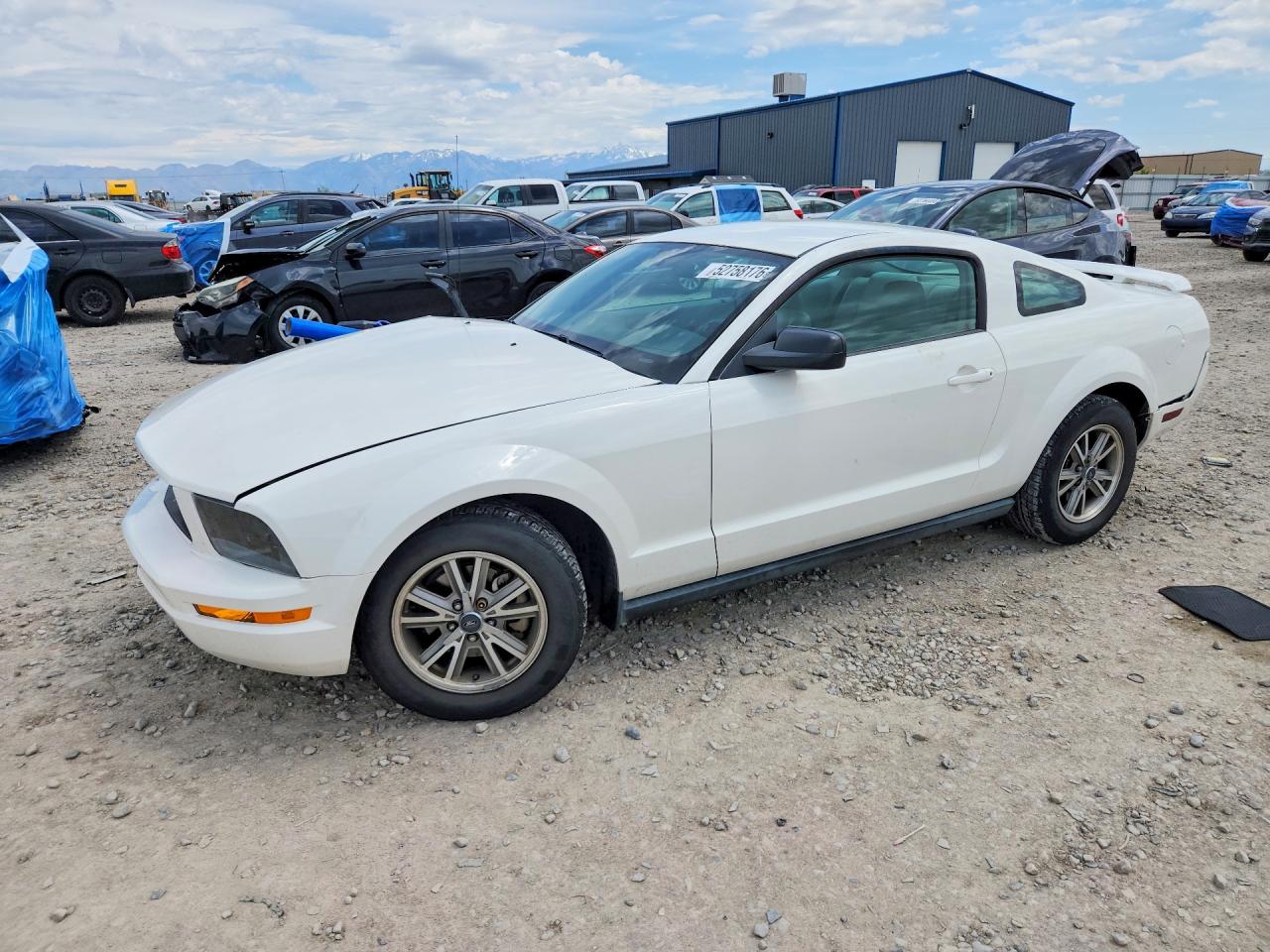 Salvage Ford Mustang Image