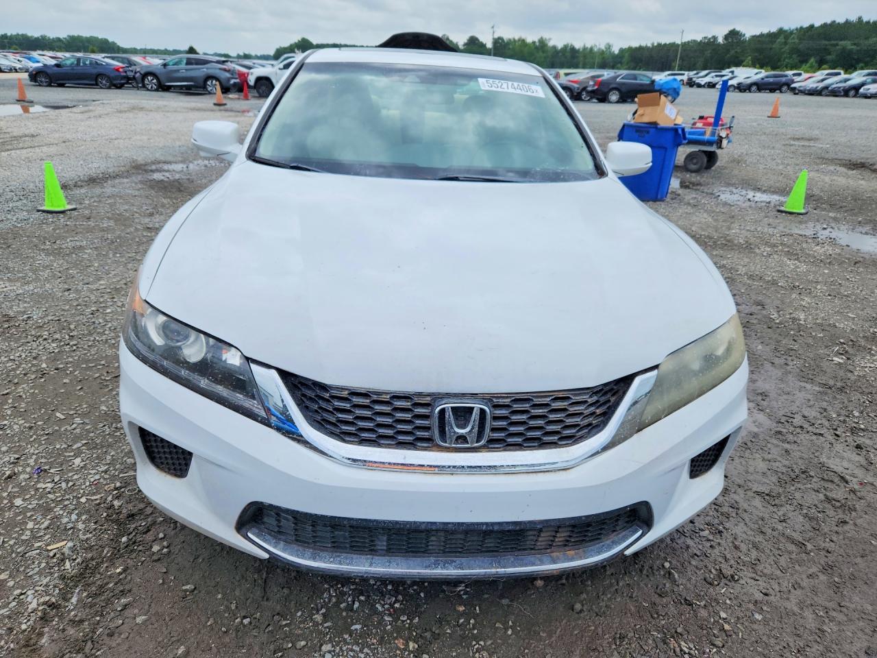 Honda Accord Exl