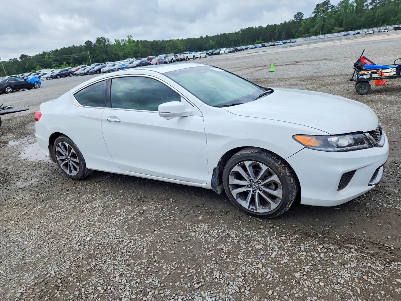 Honda Accord Exl